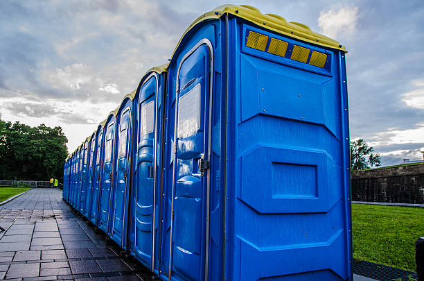 Best High-end porta potty rental  in Thief River Falls, MN